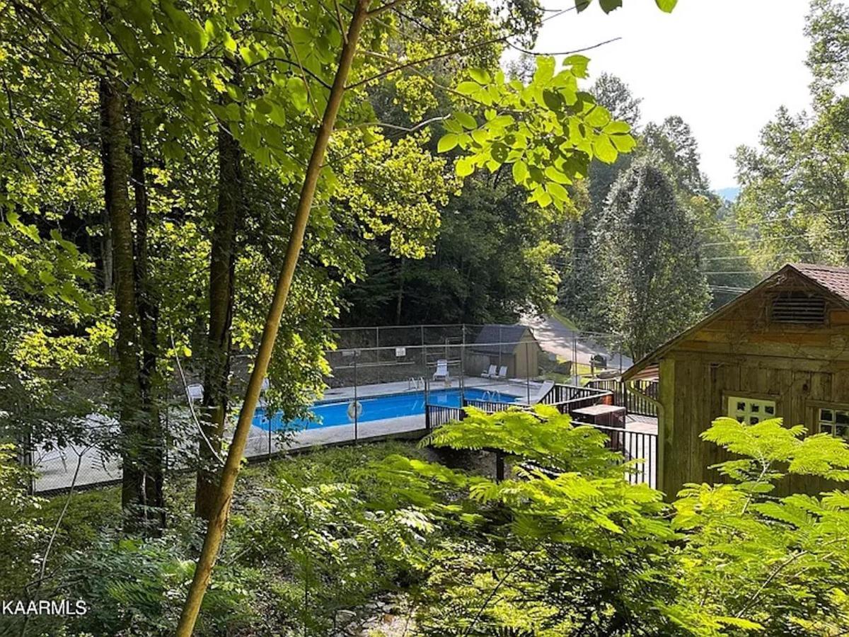 Hawks View Gatlinburg Mountain Cabin Exterior photo